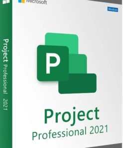 Microsoft Project Professional 2021